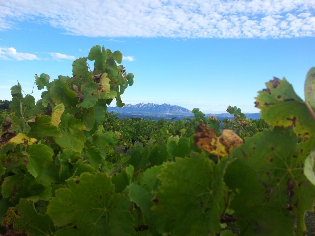 Agroturismo Cal Jeroni Avinyonet del Penedes Exterior foto
